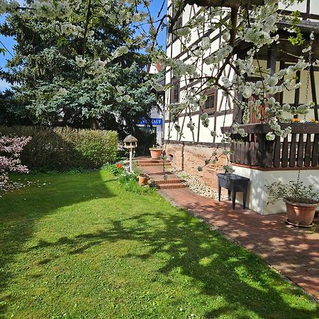 Apartments Am Saalebogen Mit Gartenterrasse, Grillkamin, Freie Parkplaetze Rudolstadt Exterior photo